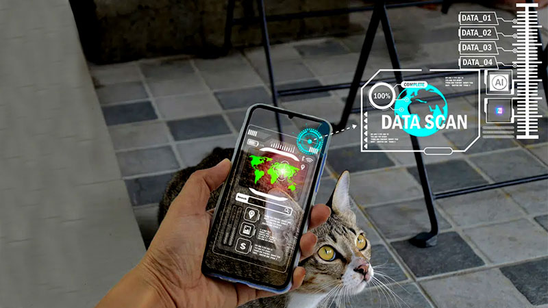 هوش مصنوعی برای گربه‌های خانگی؛ مراقبت و سلامت بیشتر