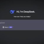 DeepSeek